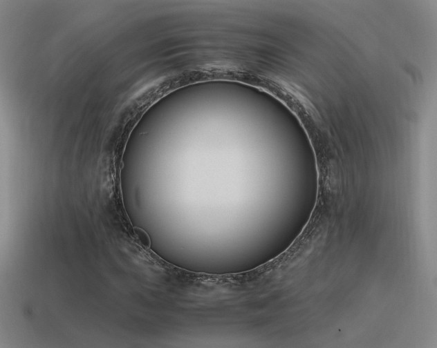 X0000115481015200911061213