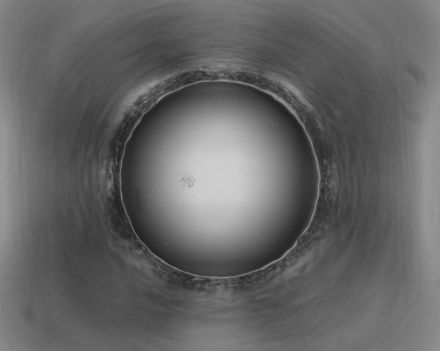 X0000115481016200911061213