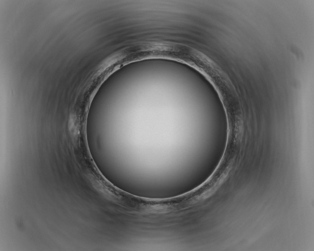 X0000115481017200911061213