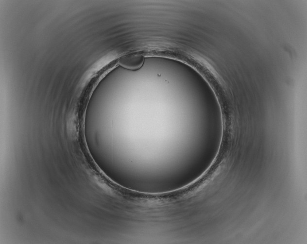 X0000115481018200911061213