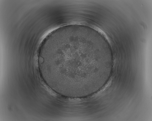 X0000115481019200911061213