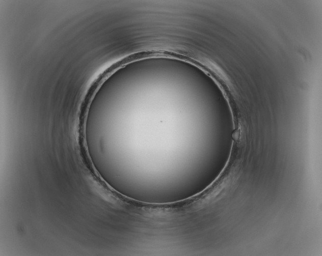 X0000115481020200911061213