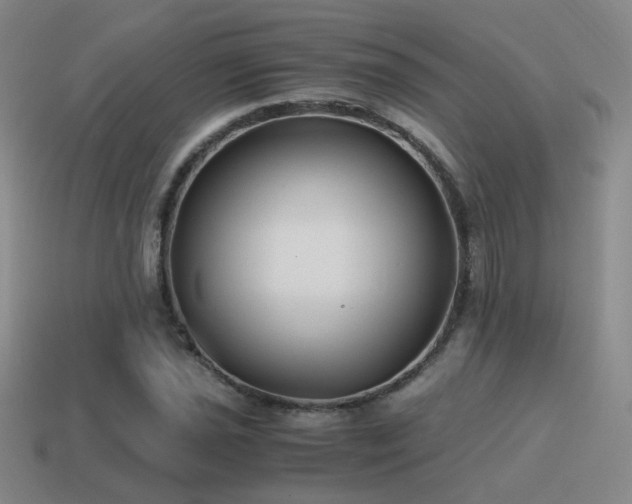 X0000115481021200911061213