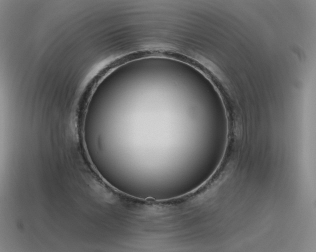 X0000115481022200911061213