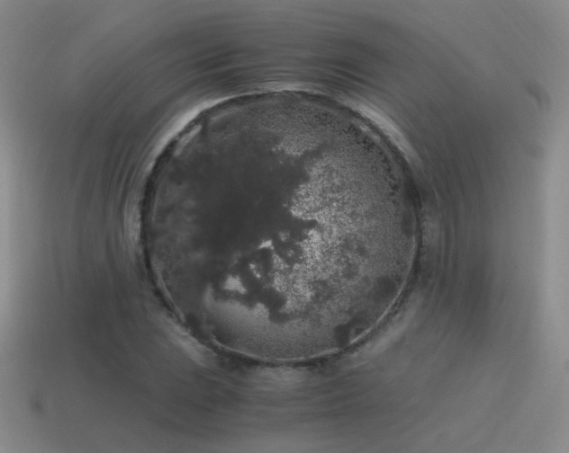 X0000115481023200911061213