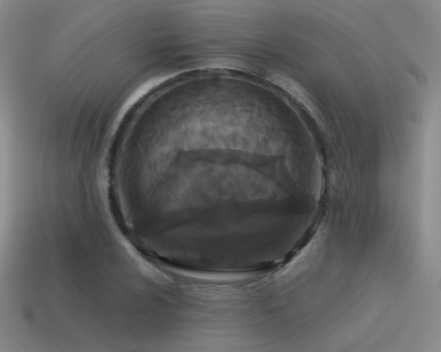 X0000115481024200911061213