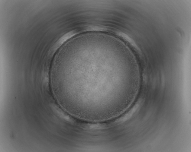 X0000115481025200911061213