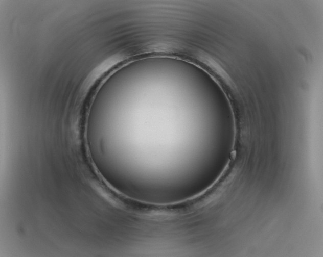 X0000115481026200911061213