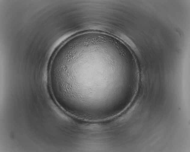 X0000115481028200911061213