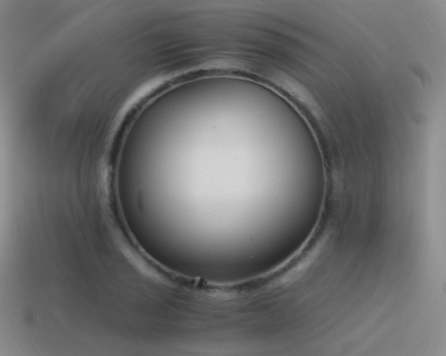 X0000115481029200911061213
