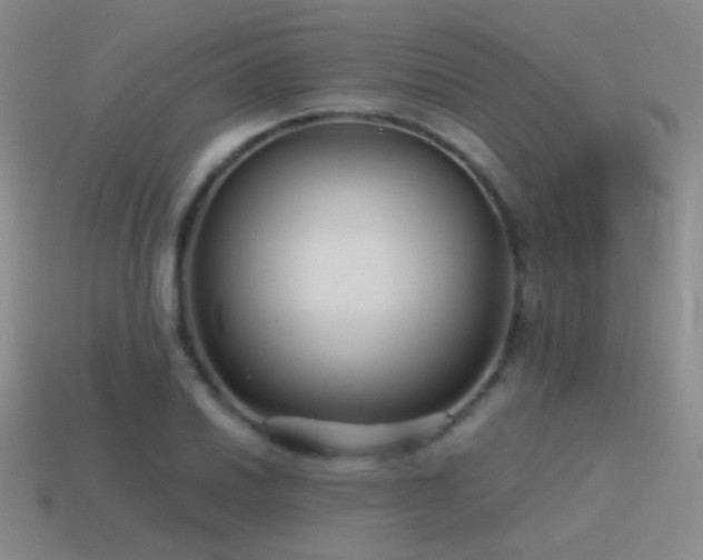 X0000115481030200911061213