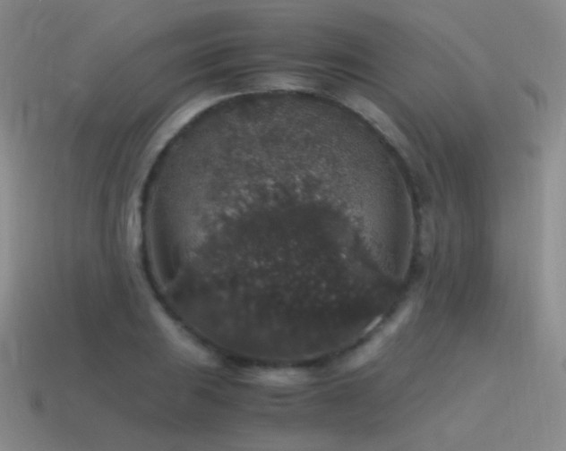 X0000115481031200911061213