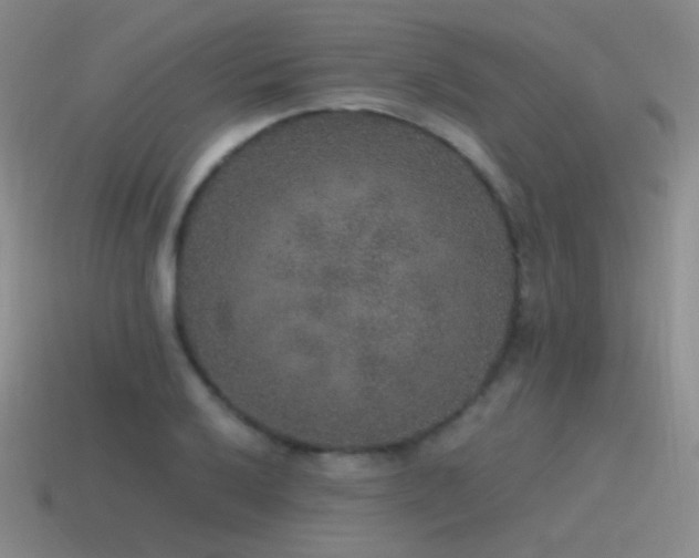 X0000115481032200911061213