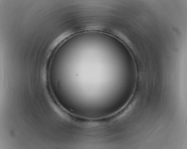 X0000115481034200911061213