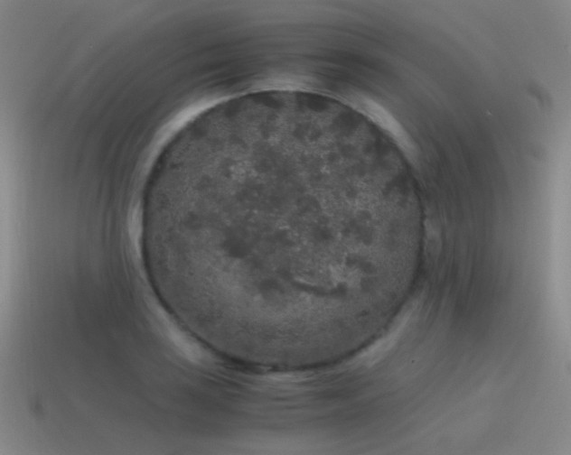X0000115481035200911061213