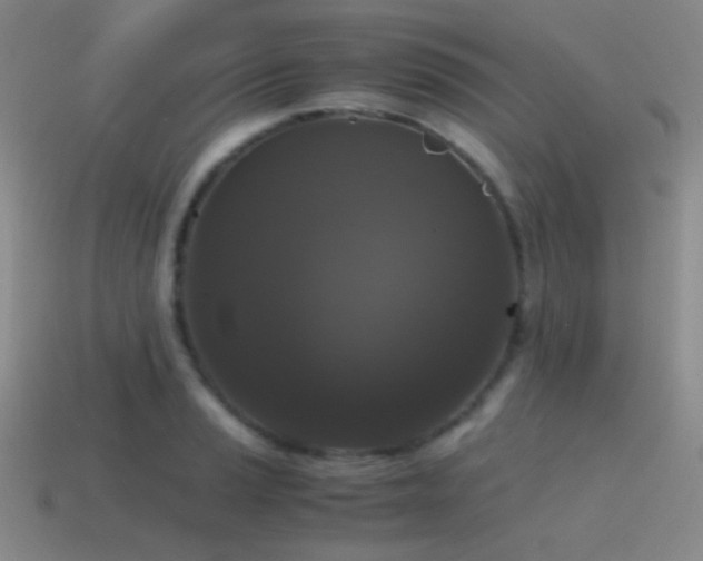X0000115481037200911061213