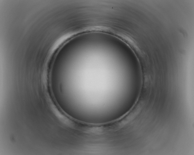 X0000115481038200911061213