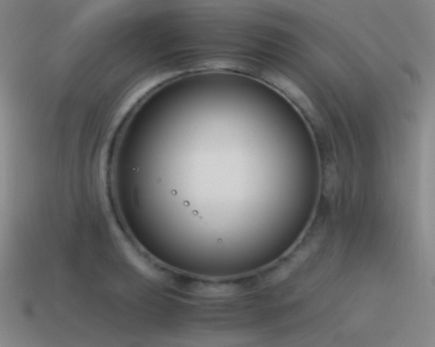 X0000115481039200911061213