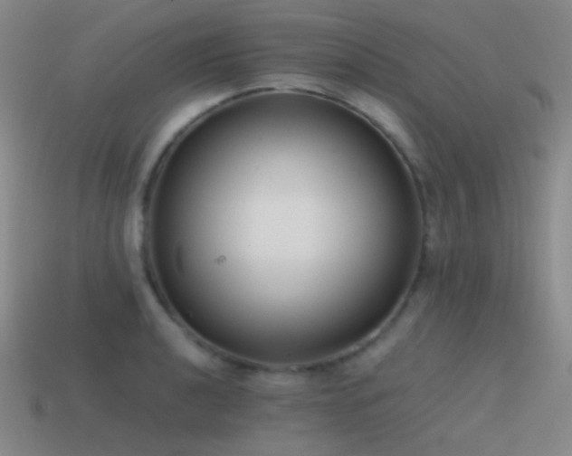 X0000115481040200911061213