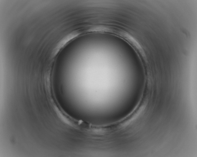 X0000115481041200911061213