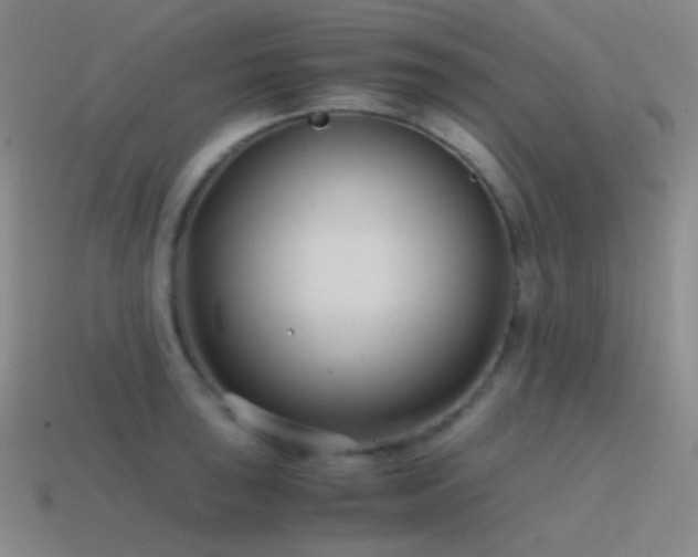 X0000115481043200911061213