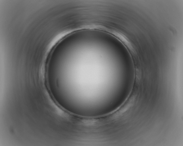 X0000115481046200911061213