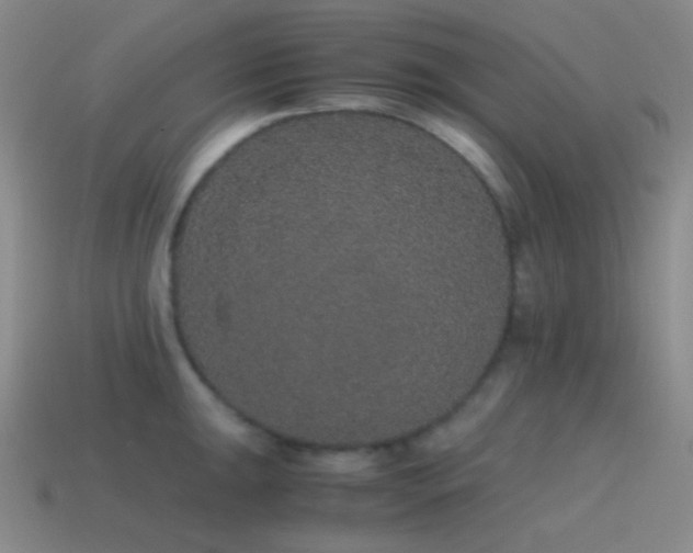 X0000115481047200911061213