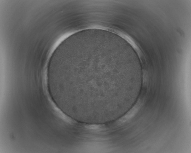 X0000115481048200911061213