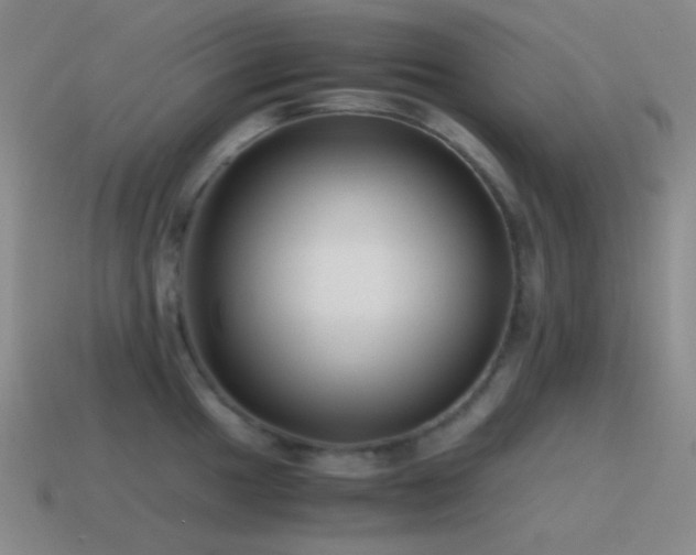 X0000115481049200911061213