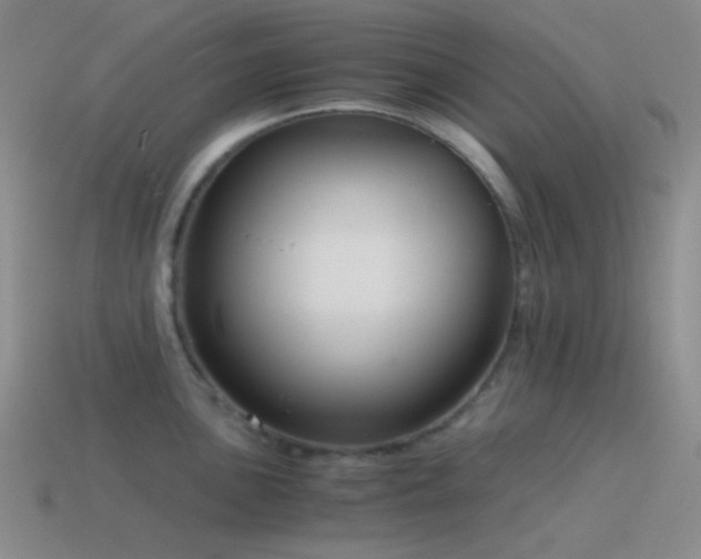 X0000115481051200911061213