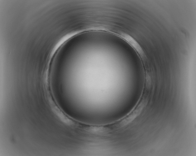 X0000115481052200911061213