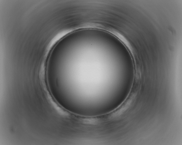 X0000115481053200911061213
