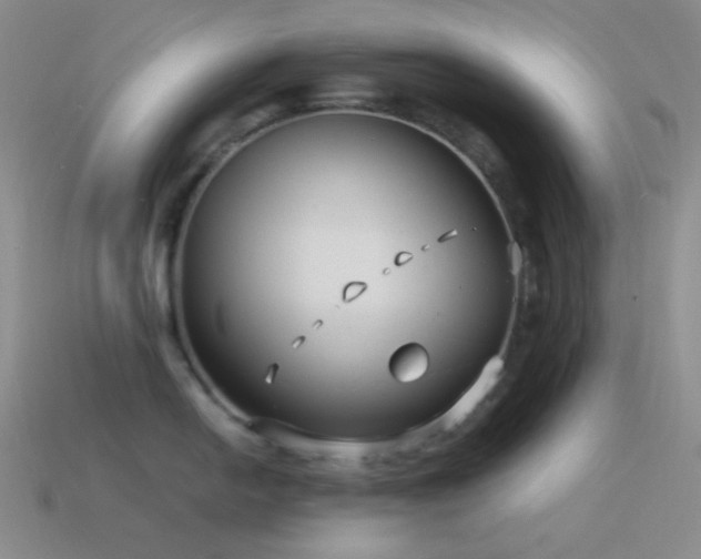 X0000115481054200911061213