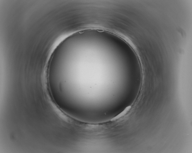 X0000115481056200911061213
