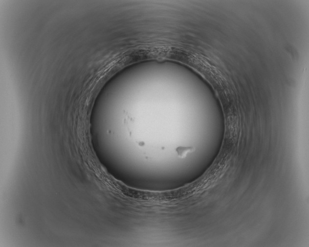 X0000115481057200911061213