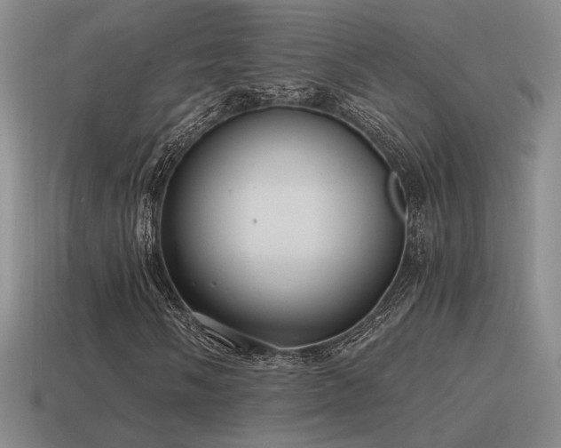 X0000115481058200911061213