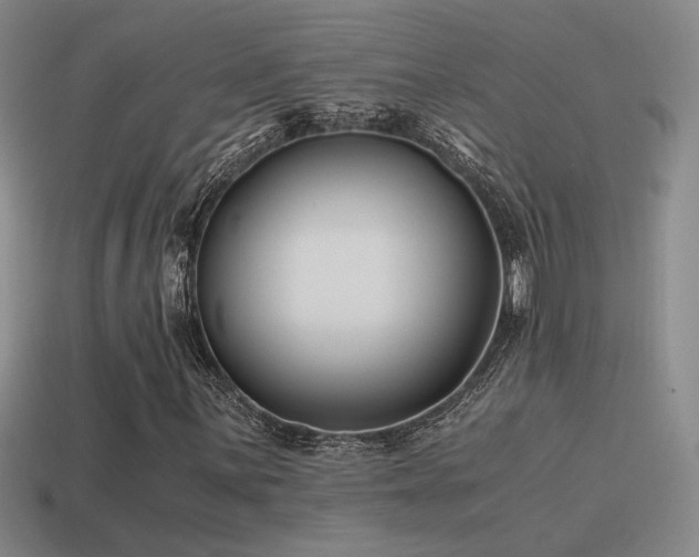X0000115481059200911061213