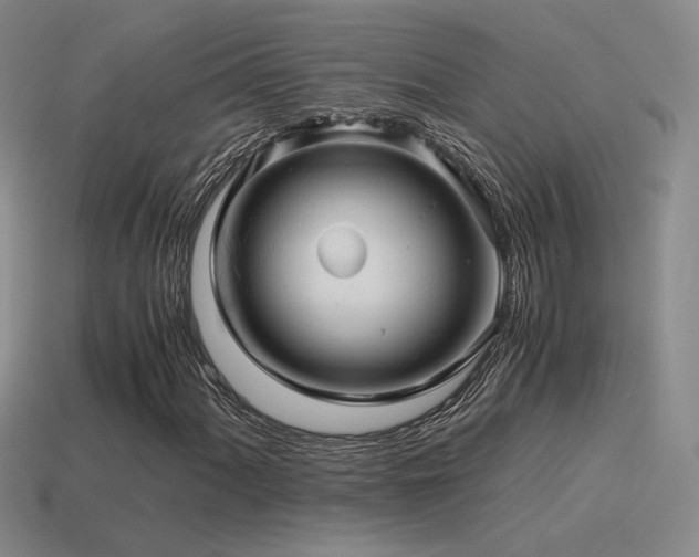 X0000115481060200911061213