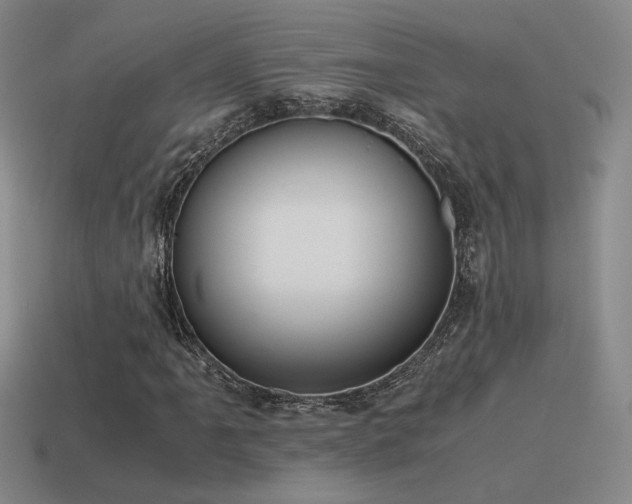 X0000115481061200911061213
