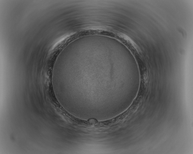 X0000115481064200911061213