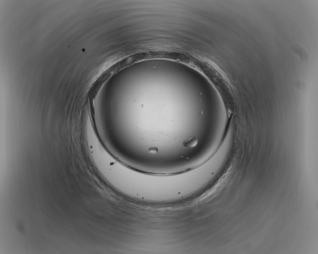 X0000115481065200911061213