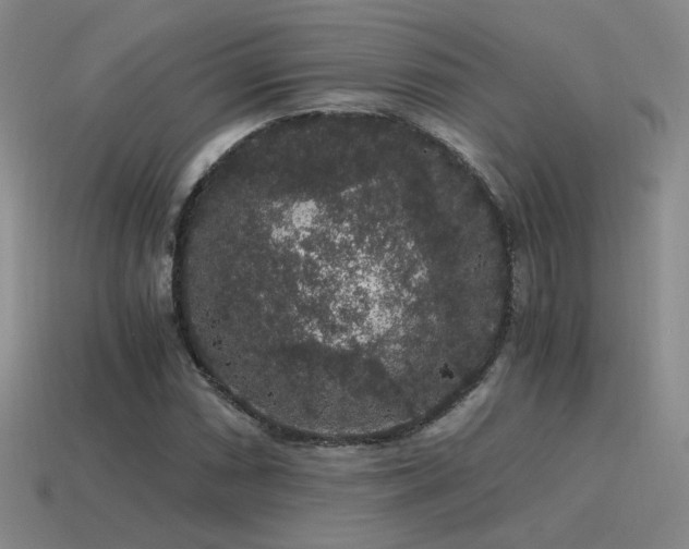 X0000115481066200911061213