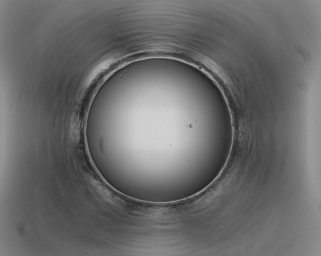 X0000115481067200911061213