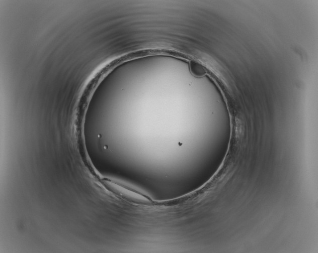 X0000115481068200911061213