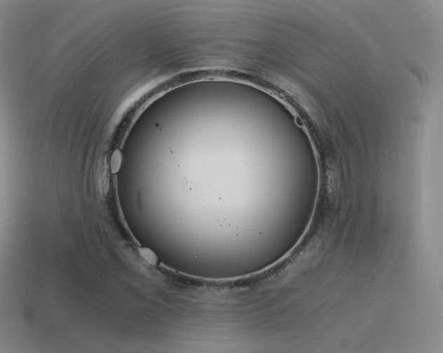 X0000115481069200911061213