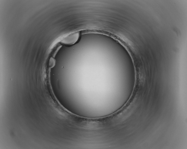 X0000115481070200911061213