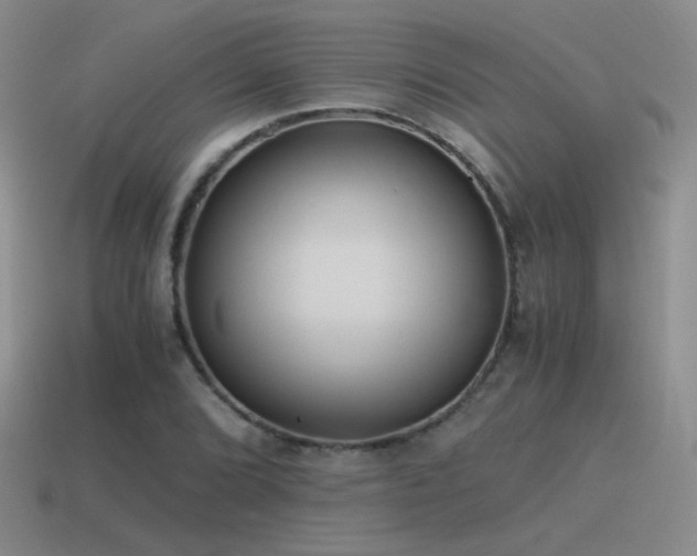 X0000115481072200911061213