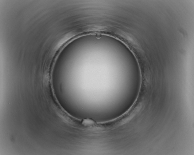 X0000115481073200911061213