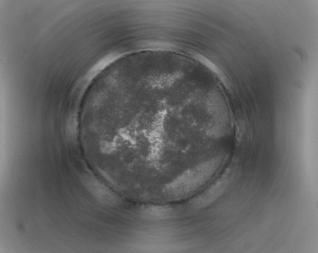 X0000115481074200911061213