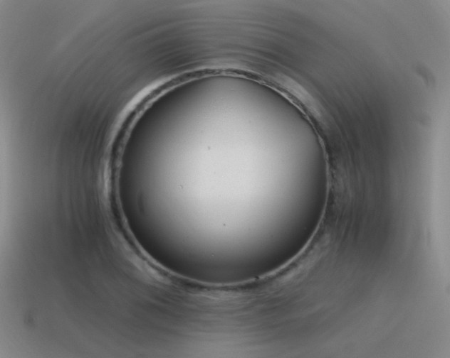 X0000115481076200911061213